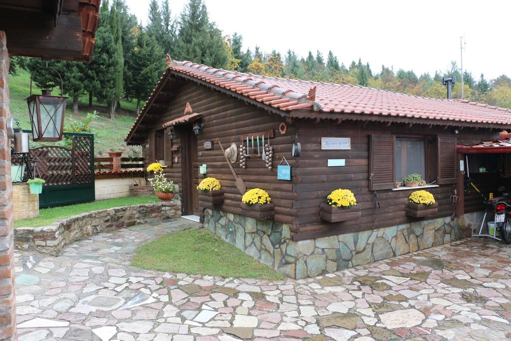 Traditional Guesthouse Tríkala Екстериор снимка