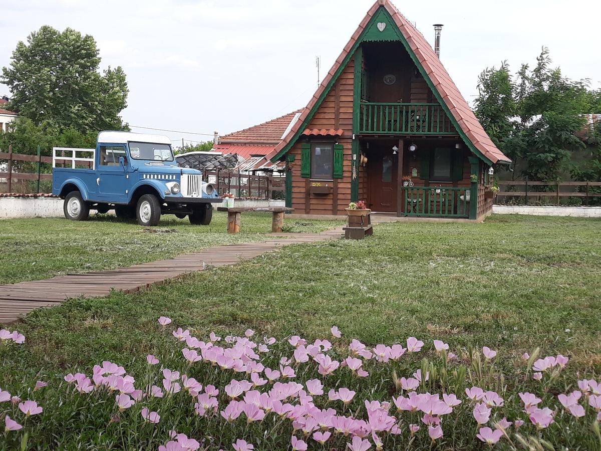 Traditional Guesthouse Tríkala Екстериор снимка