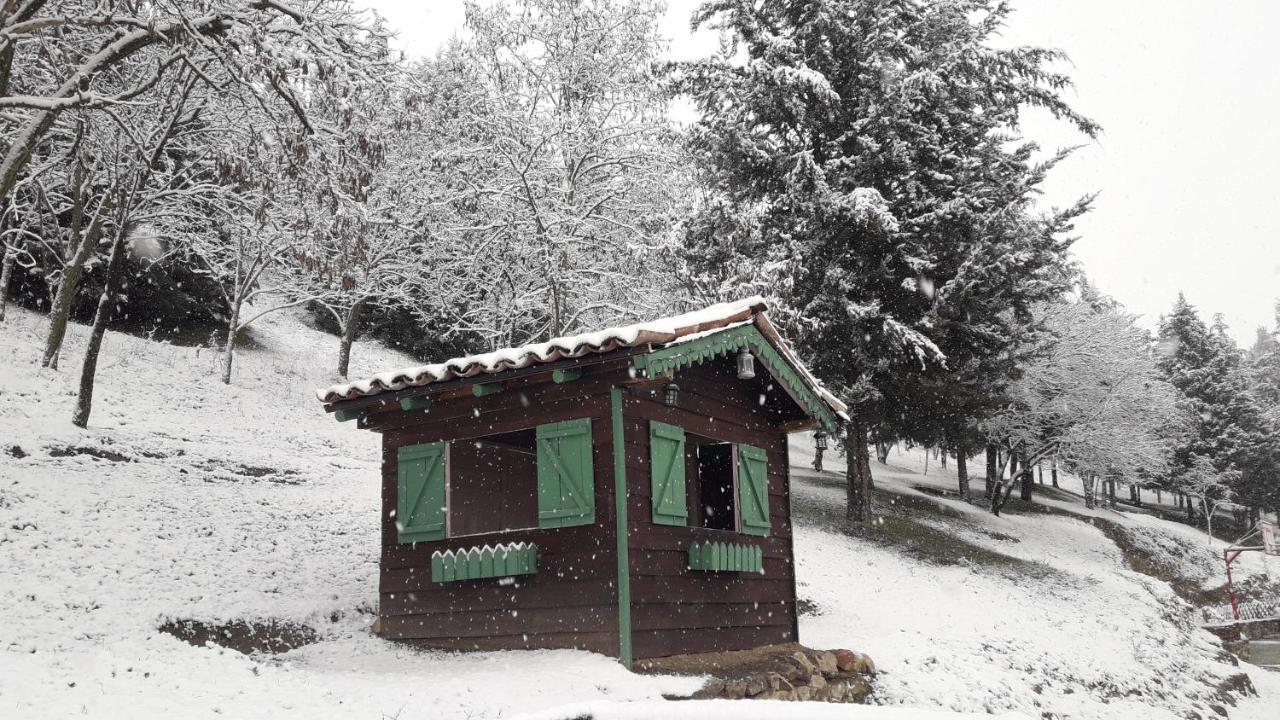 Traditional Guesthouse Tríkala Екстериор снимка